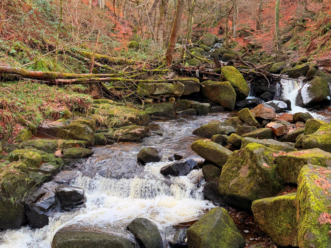 Padley Gorge-希望谷必去景点