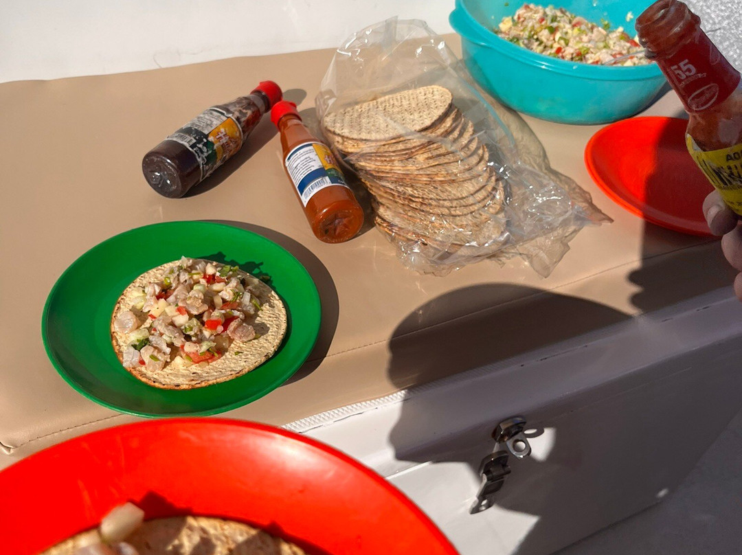 Fishing Rebels-瓦拉塔港必去景点