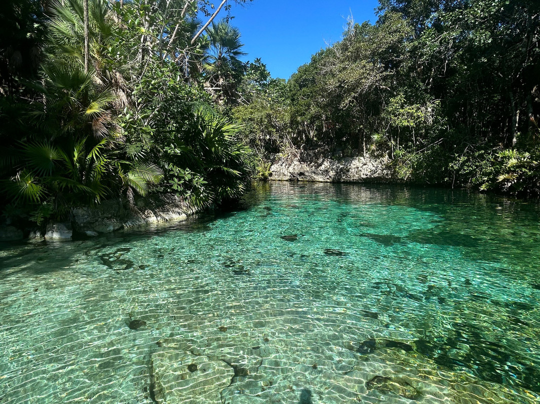 VivaOhlala-普拉亚德尔卡曼必去景点