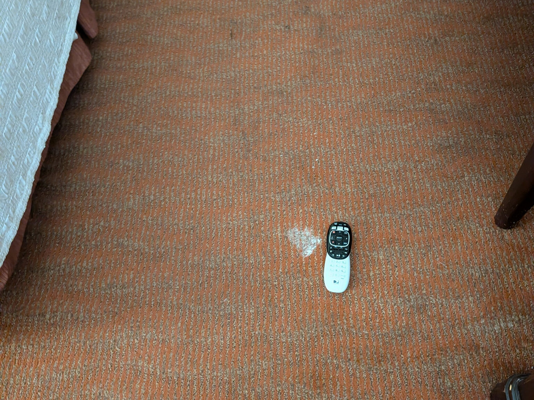 北康罗I45希尔顿恒庭旅馆&套房酒店主图