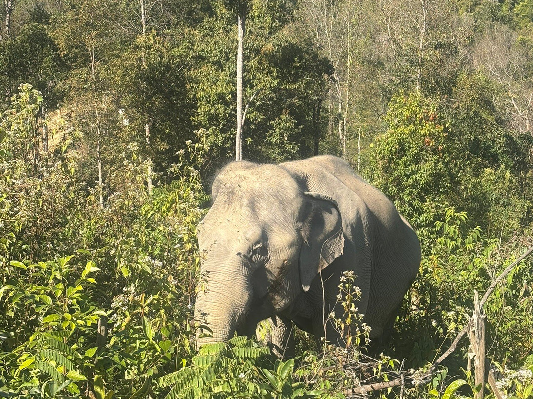 Chang Chill-Mae Win必去景点