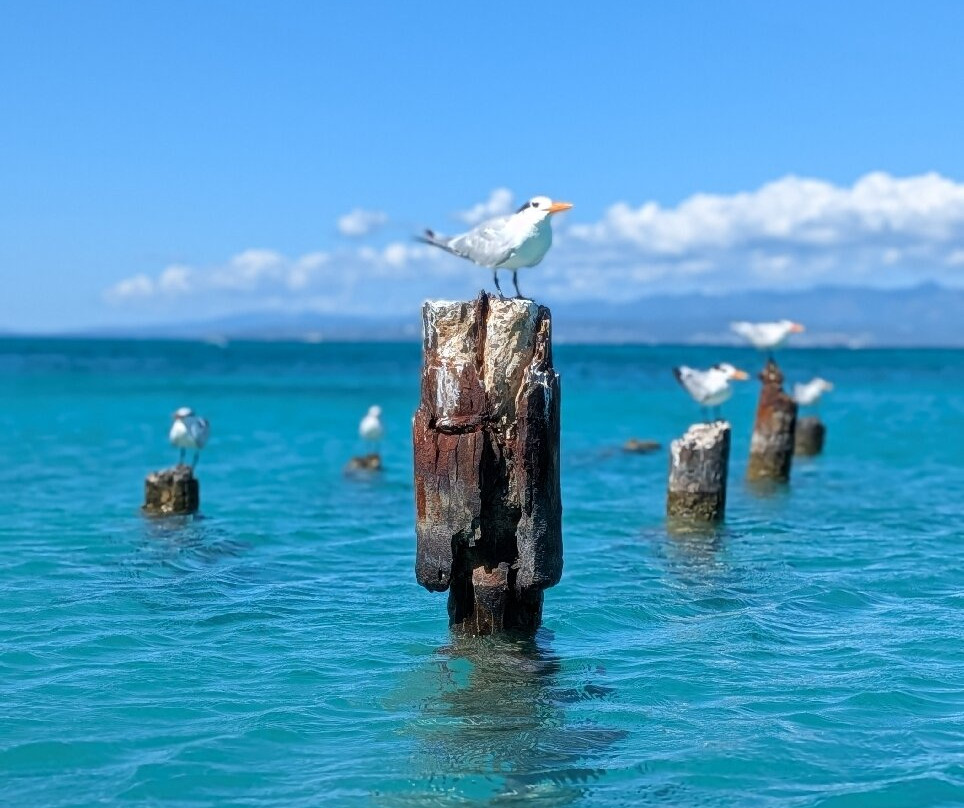 Waterland Adventure-庞塞必去景点