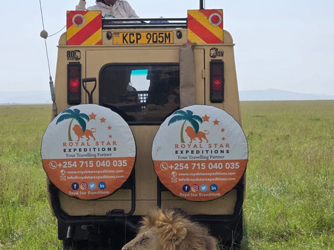 Royal Star Expeditions-内罗毕必去景点