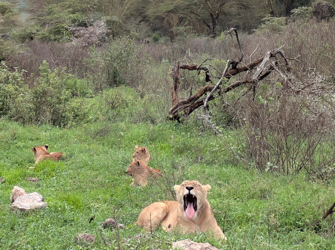 Fortes Africa-姆万扎必去景点