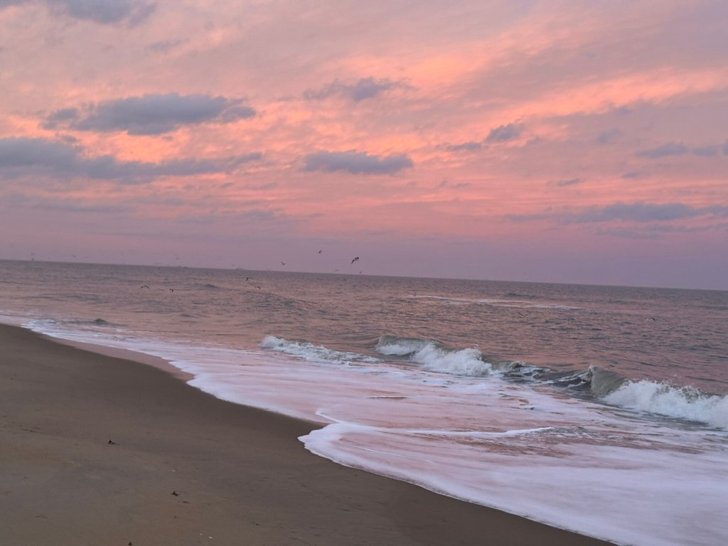 Hyatt House Virginia Beach/Oceanfront-官方