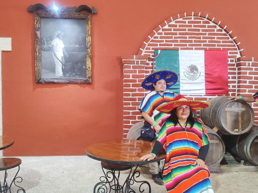Mayapan Traditional Agave Distillery-巴利亚多利德必去景点