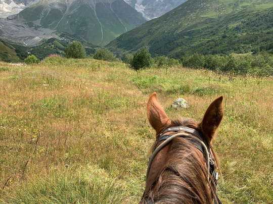Horse rentals in Ushguli-Ushguli必去景点
