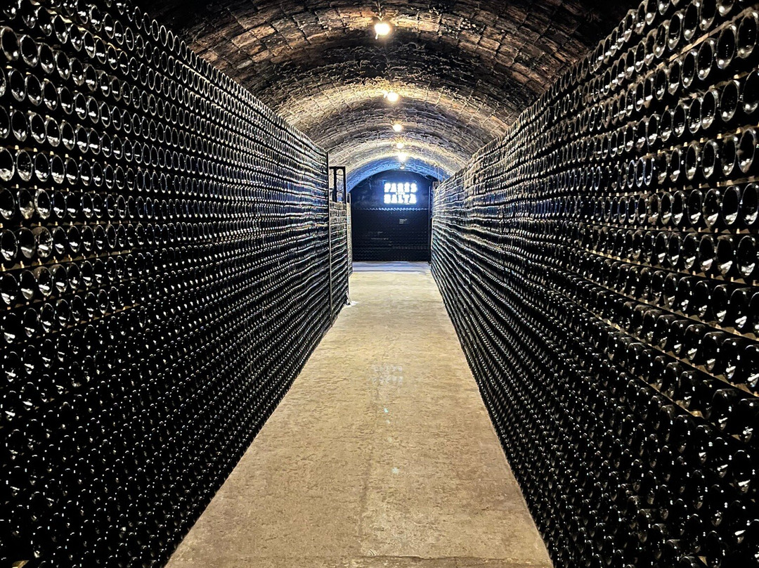 Parés Baltà-Pacs del Penedes必去景点