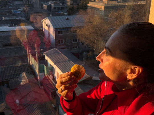 北京紫龙花园酒店(南锣鼓巷王府井店)主图