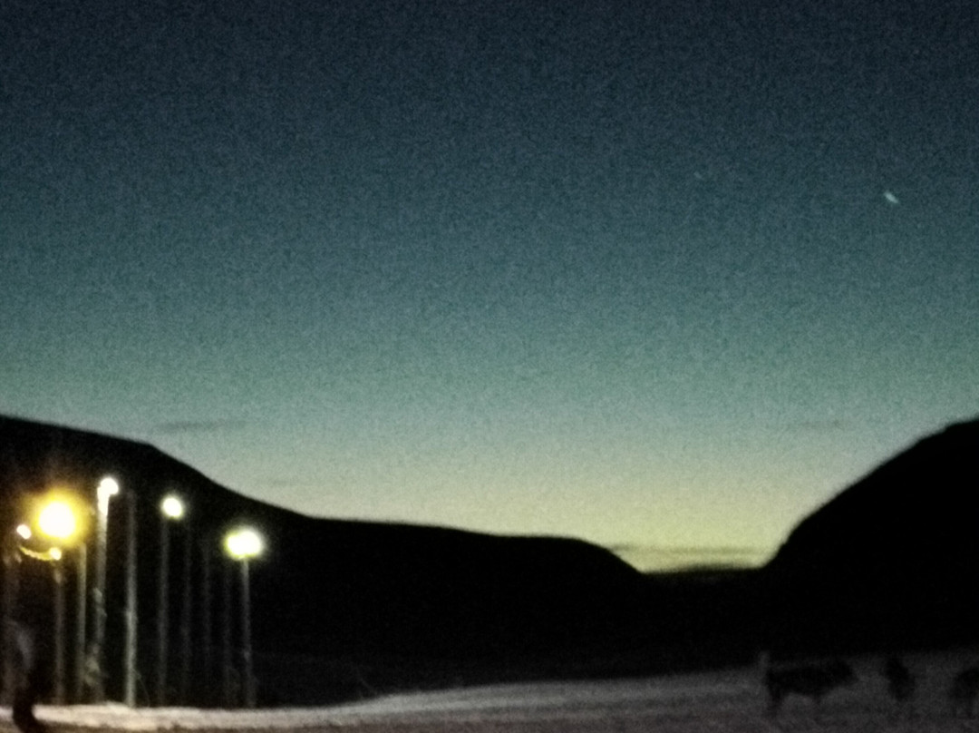 Green Dog Svalbard-朗伊尔城必去景点