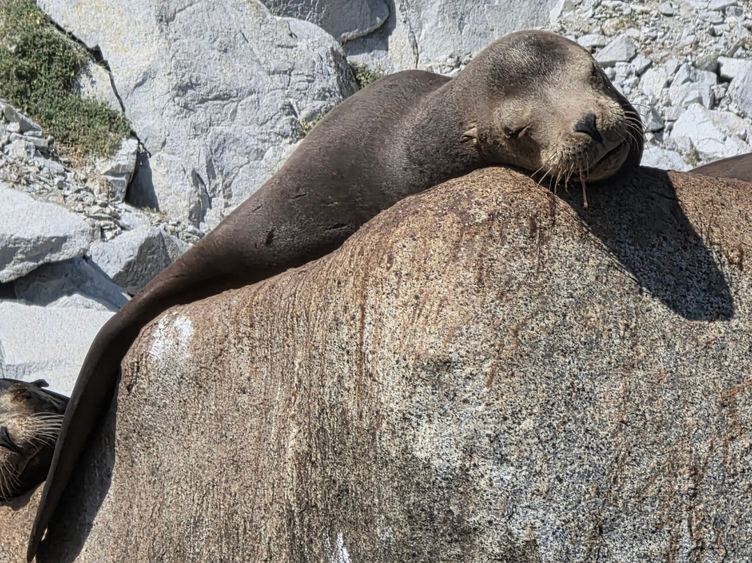 Cabo Pulmo Sport Center-Cabo Pulmo必去景点