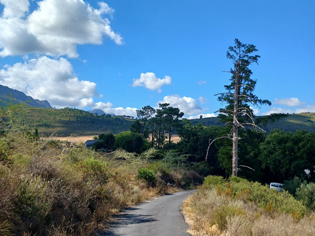 Upland Organic Wine-惠灵顿必去景点