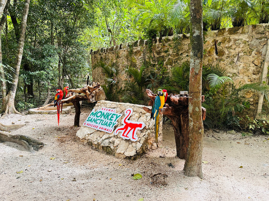 Akumal Monkey Sanctuary & Rescued Animals-艾库玛尔必去景点