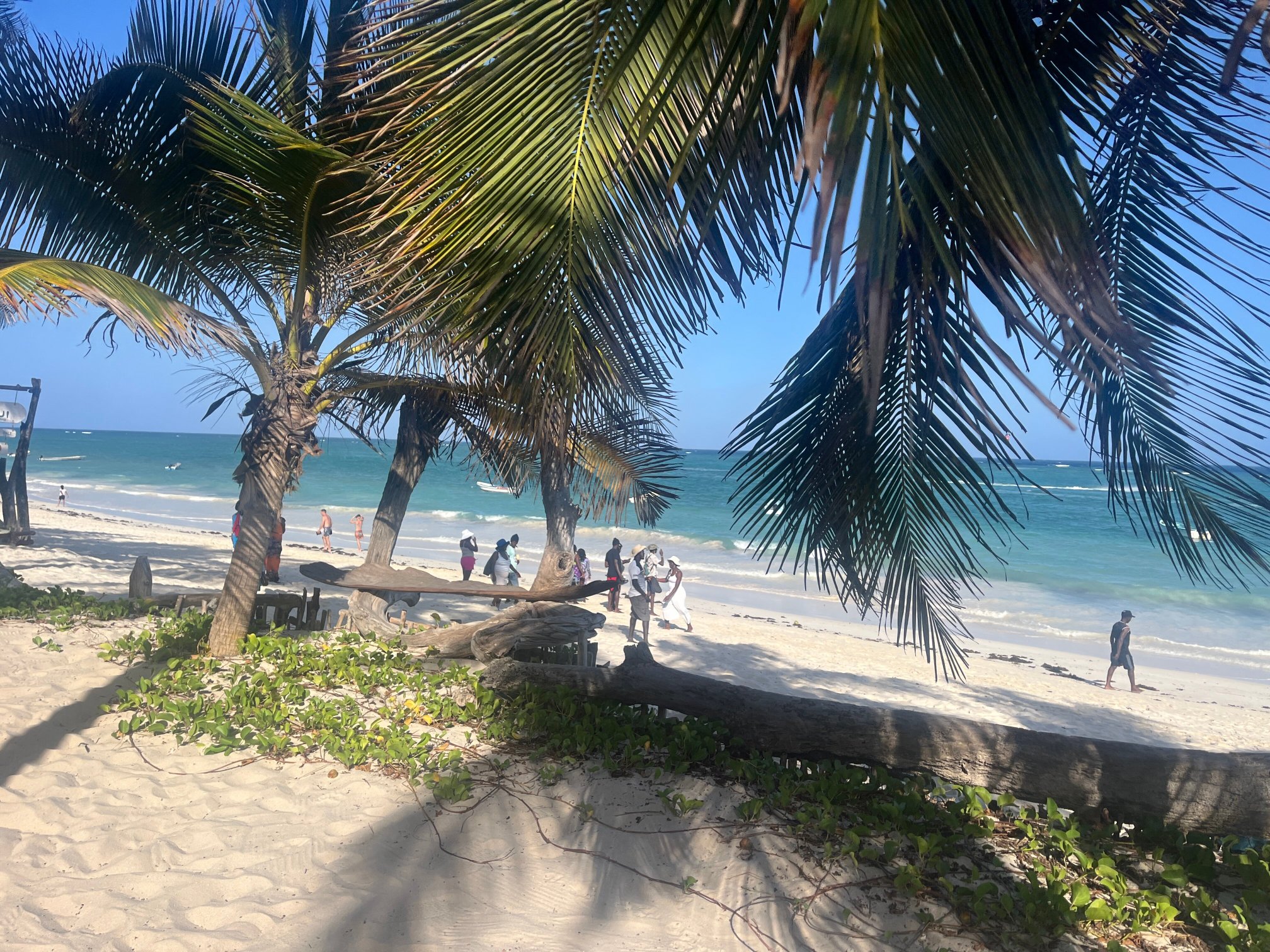 玛吉海滩精品酒店-泳池