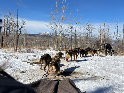Mountain Musher-Bond必去景点