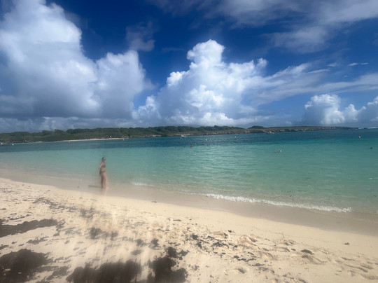 Tarzan Excursion Guadeloupe-Sainte-Anne必去景点