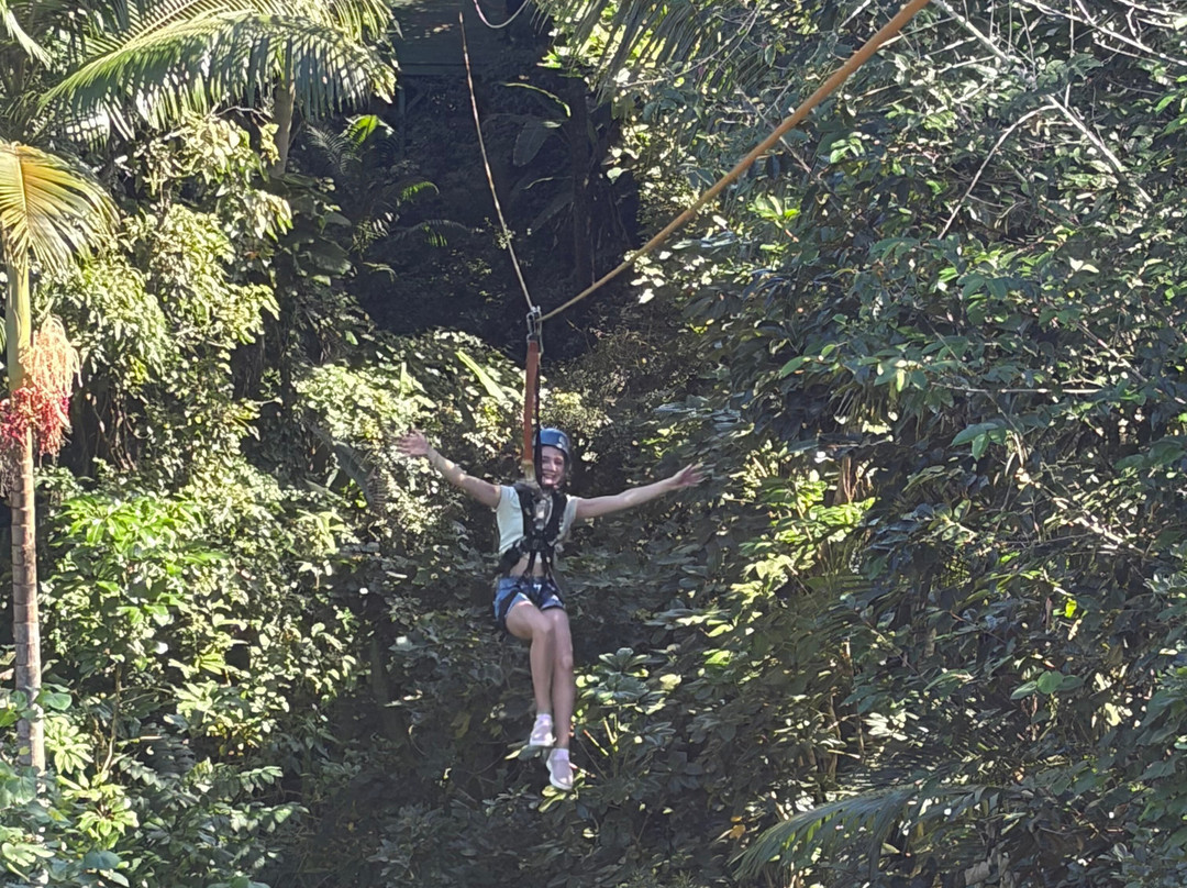 Jungle Zipline Maui-海库必去景点