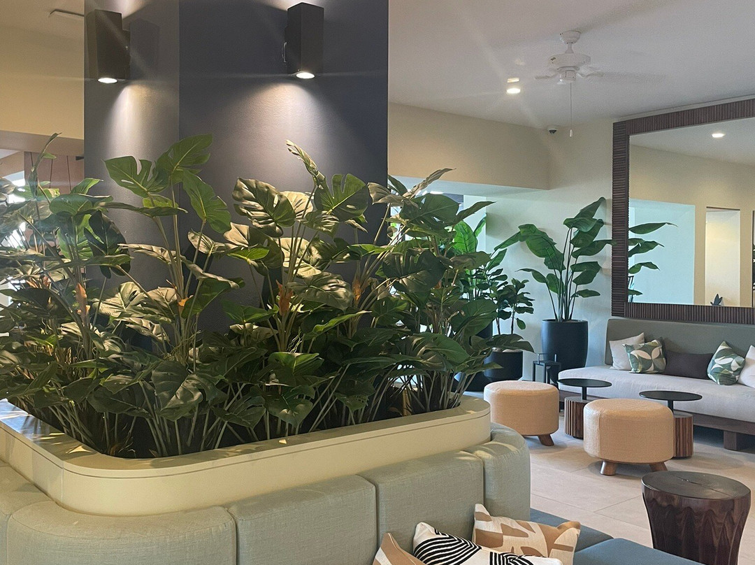 voco 阿鲁巴冲浪边酒店 by IHG主图