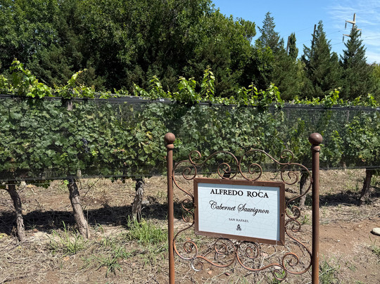 Bodega Alfredo Roca-圣拉斐尔必去景点