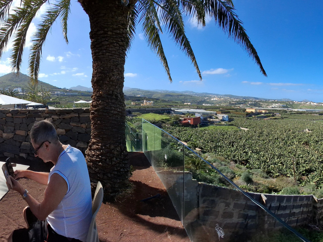 La Rekompensa Mundo del Plátano-Arucas必去景点