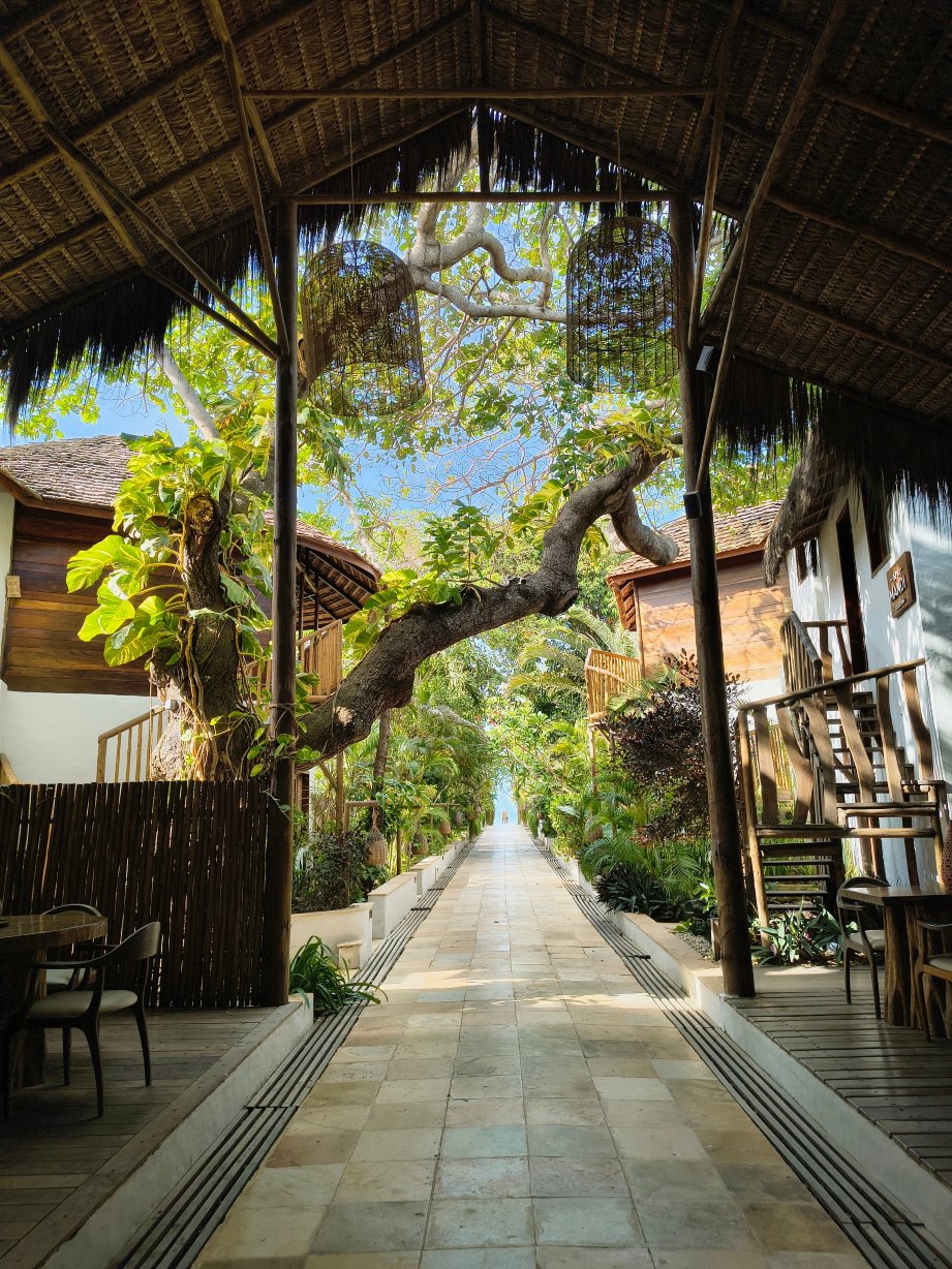 Hurricane Jeri Hotel-官方