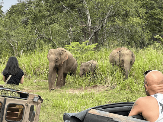 Slim Line Tours-Marawila必去景点