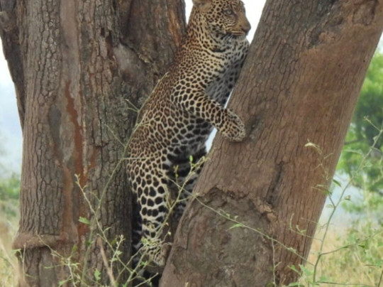 Rwizi Africa Expeditions-坎帕拉必去景点