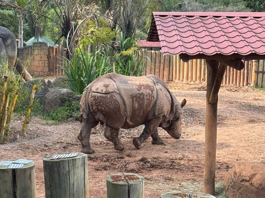 Animália Park-Cotia必去景点