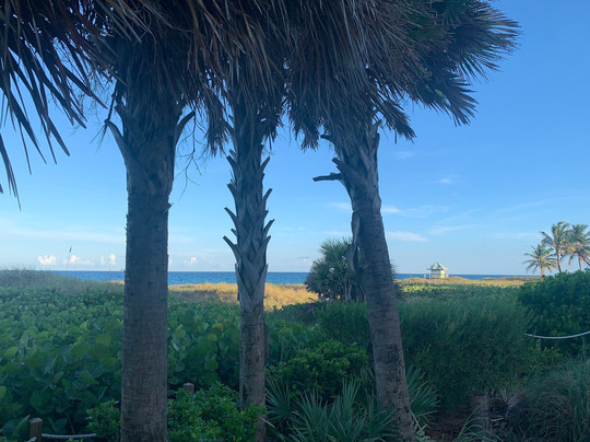 Colony Hotel and Cabana Club主图