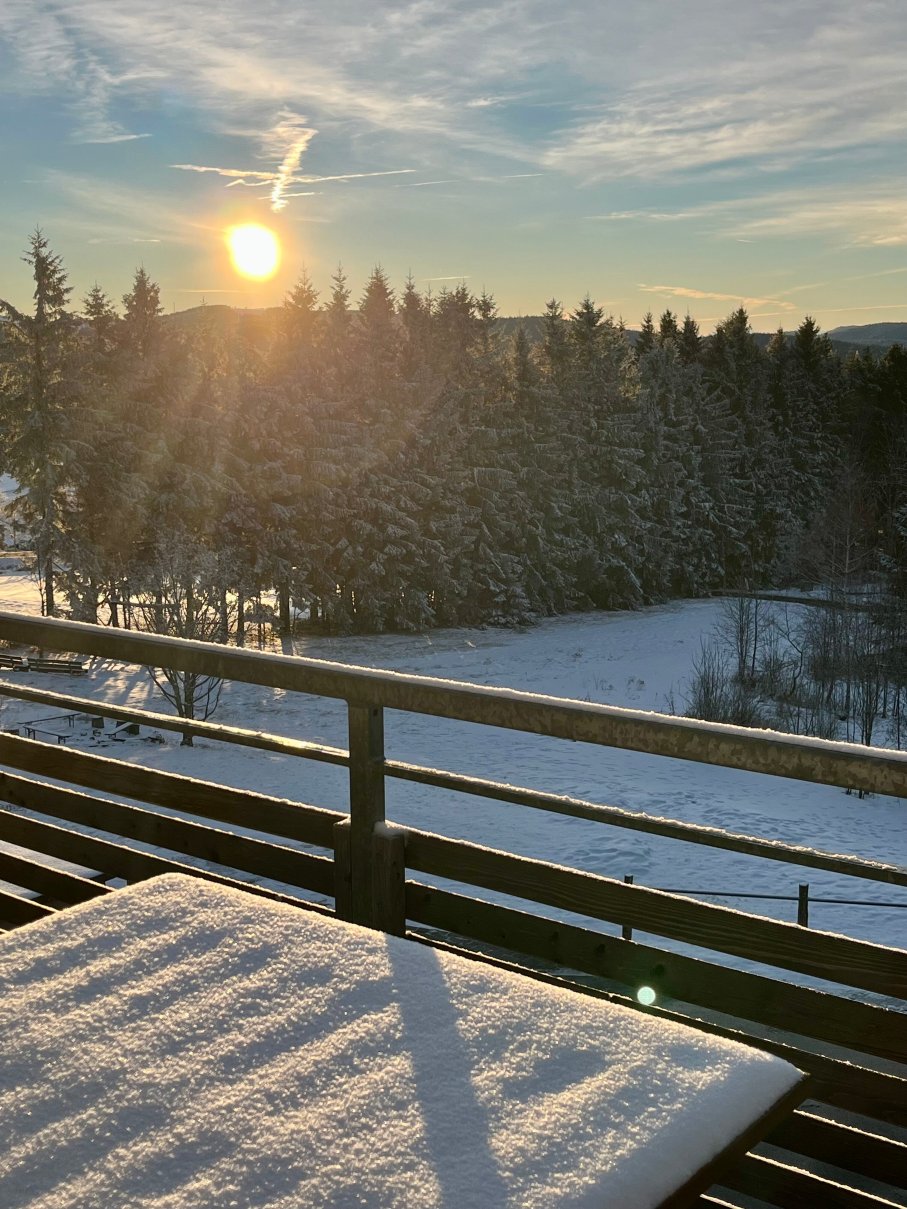 Berghaus Freiburg-酒店景观