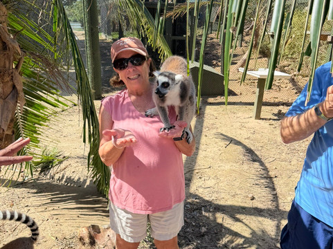 Island Vibe Destinations-Spanish Town必去景点