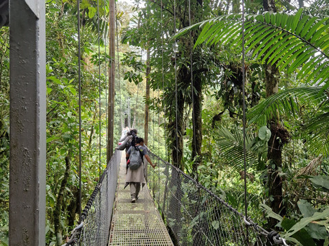 Neotropic Wildlife Expedition-福德圣卡洛斯必去景点