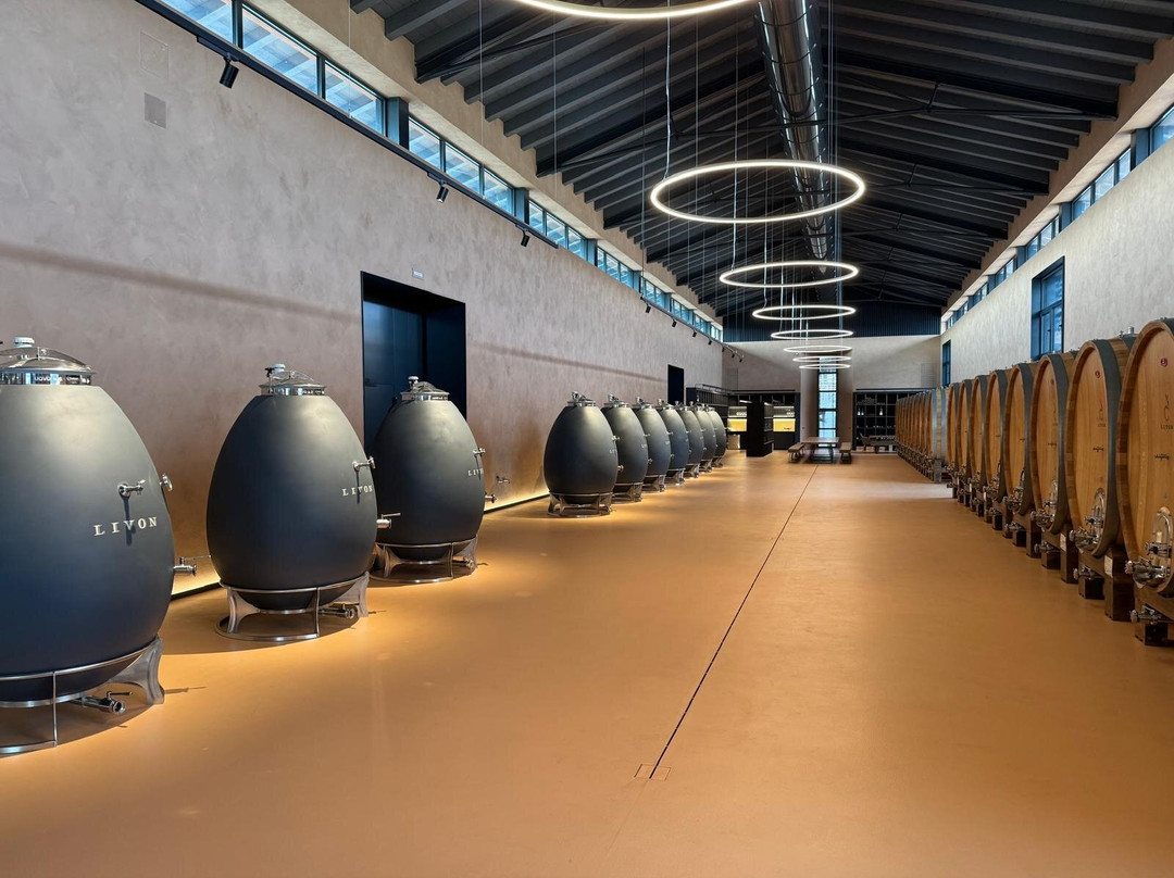 Azienda Agricola Livon-Dolegnano必去景点