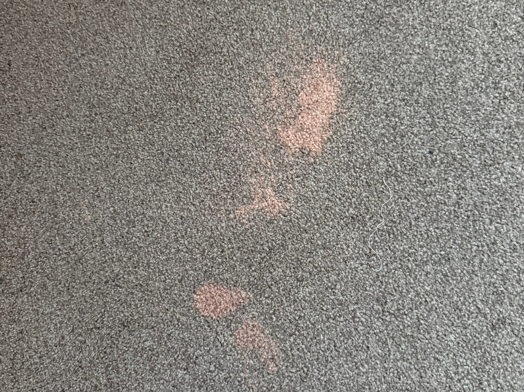 Gästehaus Alte Schule主图