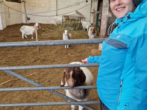 Cronkshaw Fold Farm-Rossendale必去景点