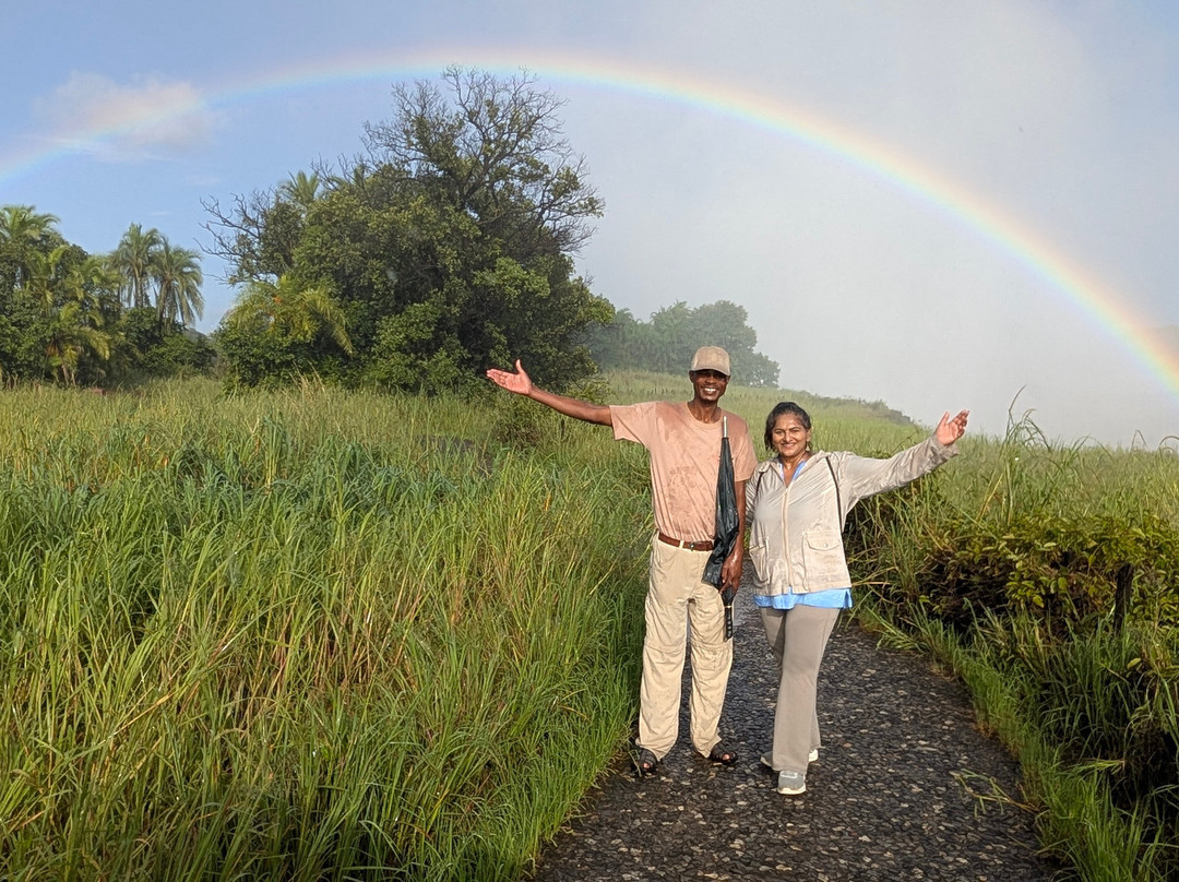 Supertime African Tours-约翰内斯堡必去景点