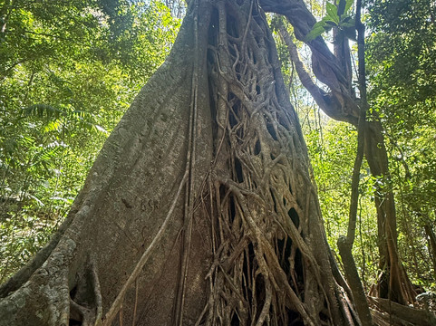 Rincon De La Vieja Volcano-Curubande必去景点