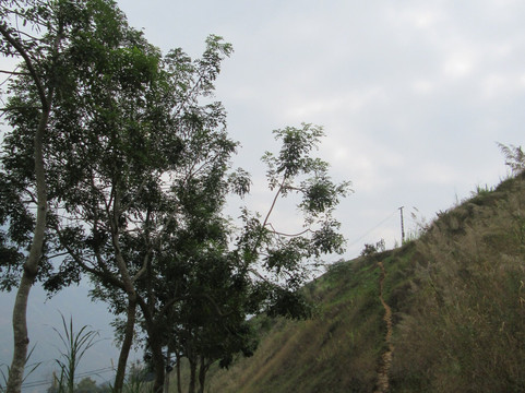 Kai Adventure Tours-Ha Giang必去景点