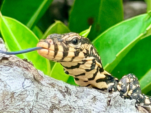 Kayak journey-Rekawa必去景点