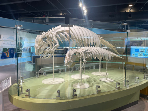 Manatee Lagoon-西棕榈滩必去景点