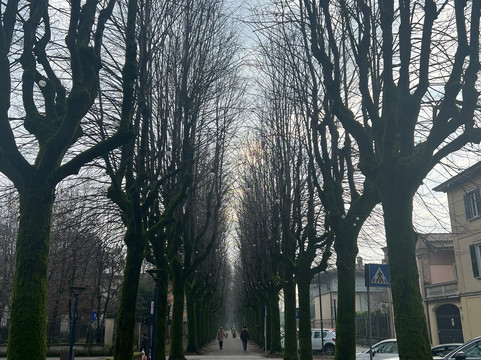 Castello Visconteo-Romano di Lombardia必去景点