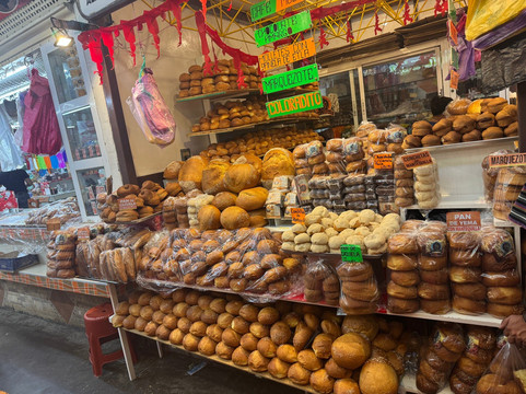 Experience Mex-ECO Tours-Melaque必去景点