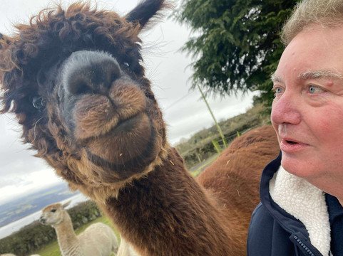 Larch Green Alpacas-格拉斯哥必去景点