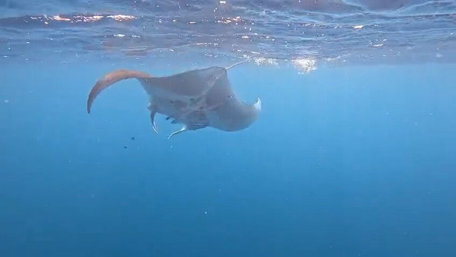 Sharm El Naga-Safaga必去景点