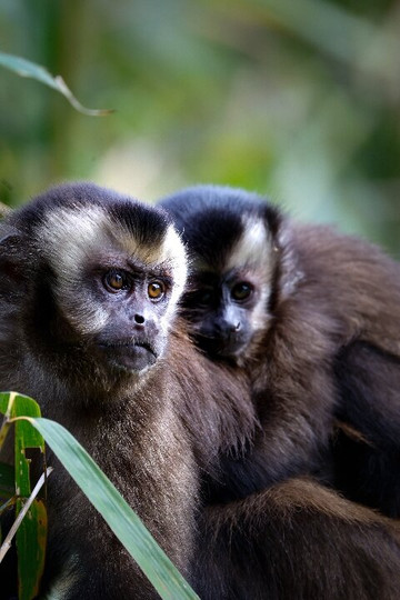 Manu Tour Operator  Expediciones Vilca-Manu必去景点