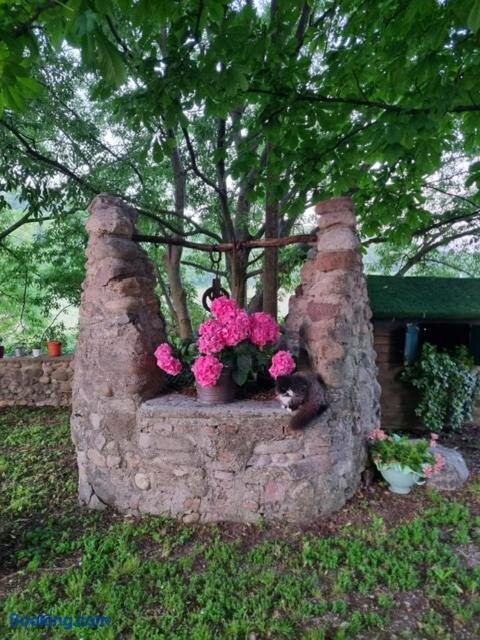 Agriturismo Case in Collina