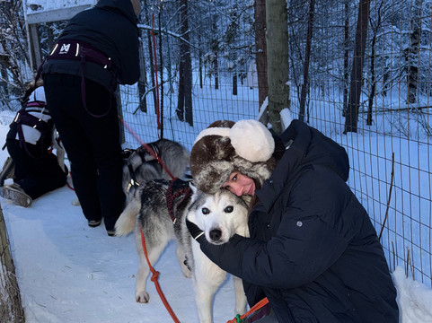 Ilonka Farm & Cafe-伊瓦洛必去景点