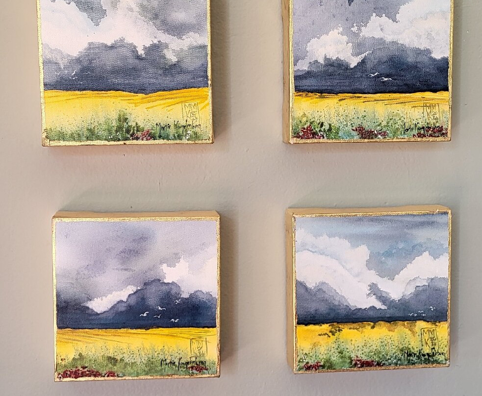 Kamieskroon Hotel主图