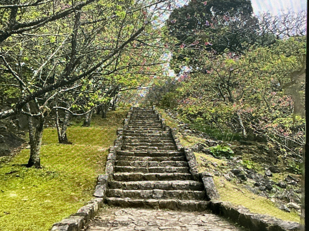 今归仁城遗址-今归仁村必去景点