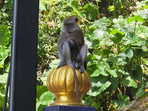 Gowithanthony-万挠必去景点